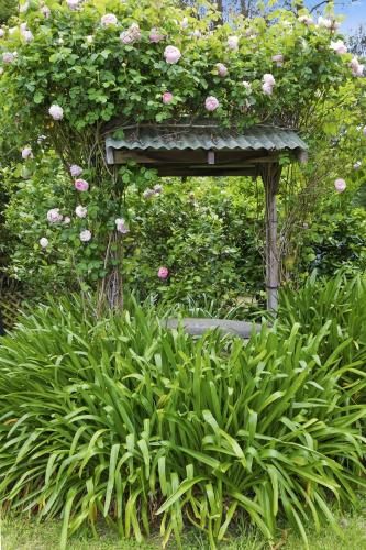 Outdoor Pictures 10