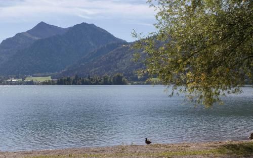 Outdoor Pictures 21