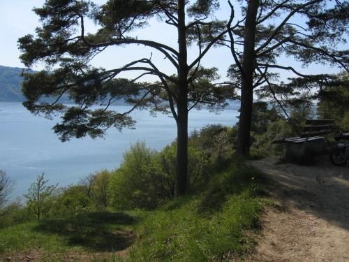 Outdoor Pictures 7