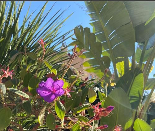 Outdoor Pictures 2