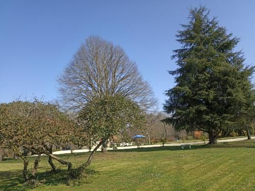 Outdoor Pictures 10