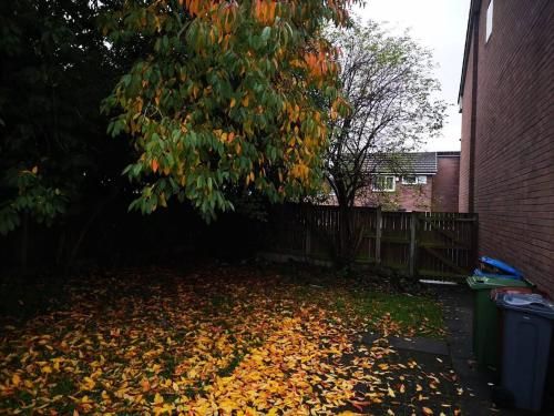 Outdoor Pictures 24