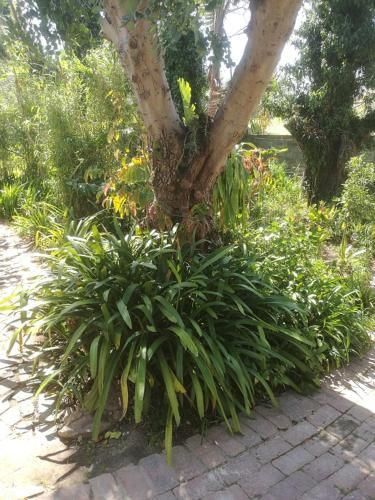 Outdoor Pictures 24