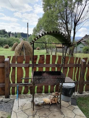 Outdoor Pictures 7