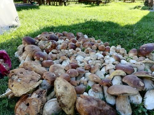 Outdoor Pictures 16