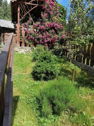 Outdoor Pictures 19