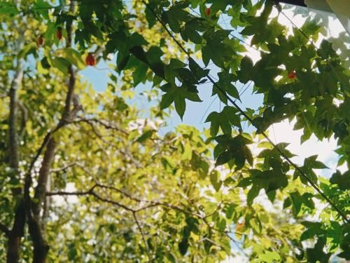 Outdoor Pictures 5