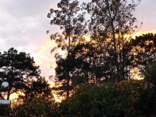 Outdoor Pictures 15