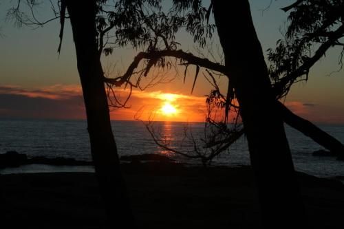 Outdoor Pictures 1
