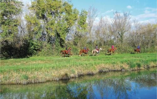 Outdoor Pictures 21