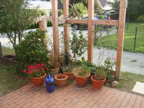 Outdoor Pictures 3