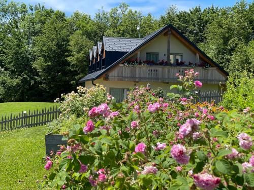 Outdoor Pictures 20