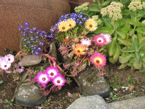 Outdoor Pictures 15