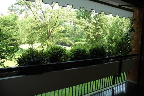 Outdoor Pictures 1