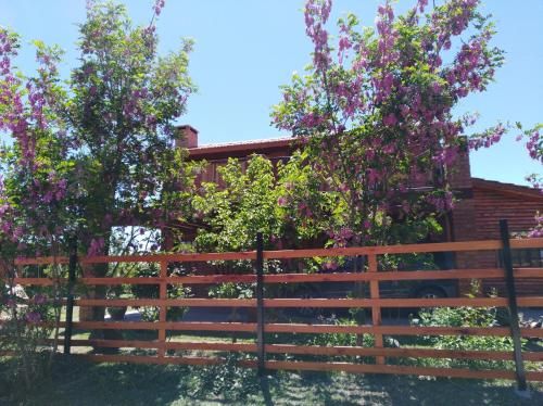 Outdoor Pictures 21