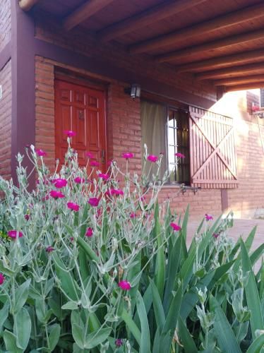 Outdoor Pictures 23