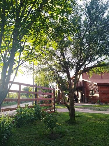 Outdoor Pictures 24