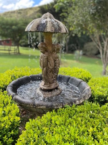 Outdoor Pictures 15
