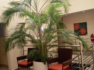 Hotel Image 5