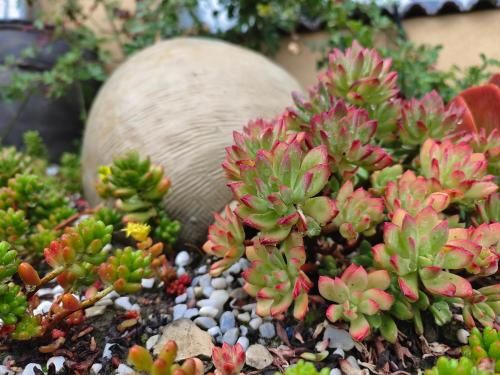 Outdoor Pictures 21