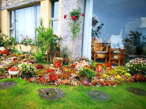 Outdoor Pictures 22