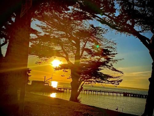 Outdoor Pictures 16