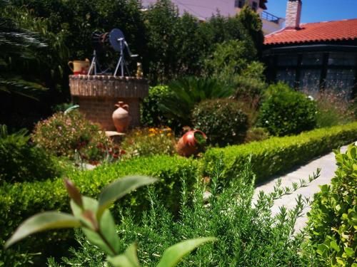 Outdoor Pictures 24