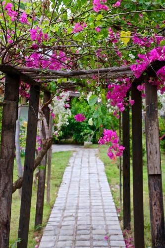 Outdoor Pictures 7