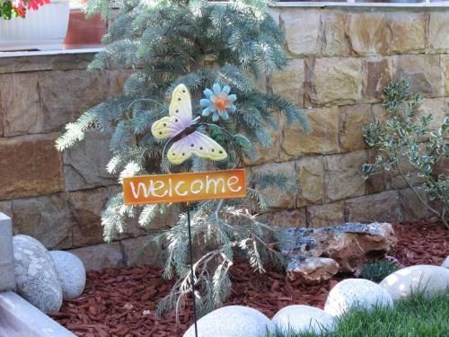 Outdoor Pictures 11