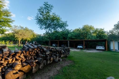 Outdoor Pictures 21