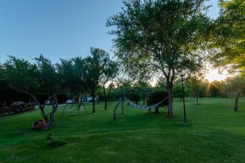 Outdoor Pictures 22