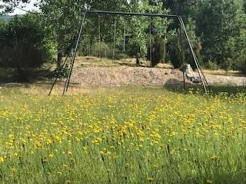 Outdoor Pictures 2