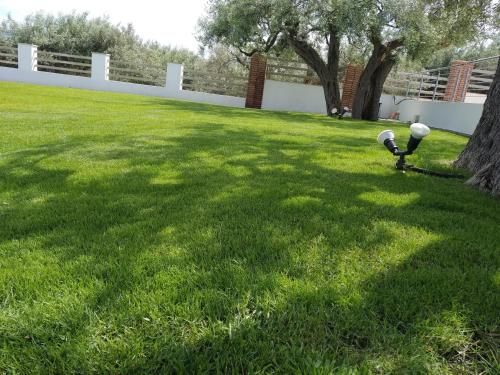 Outdoor Pictures 15