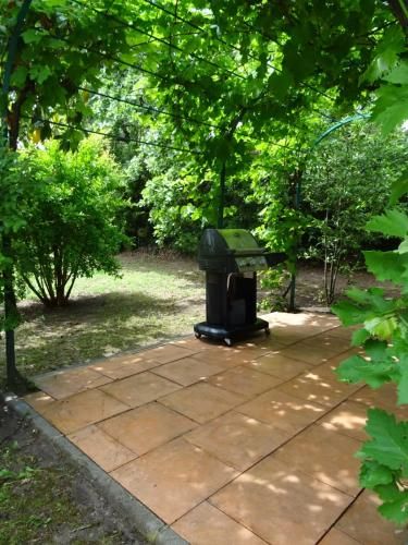 Outdoor Pictures 9