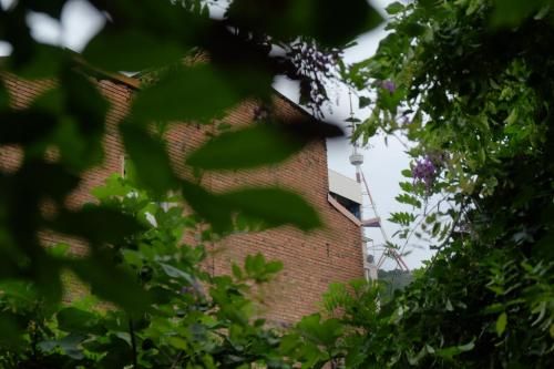 Outdoor Pictures 21