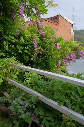 Outdoor Pictures 24