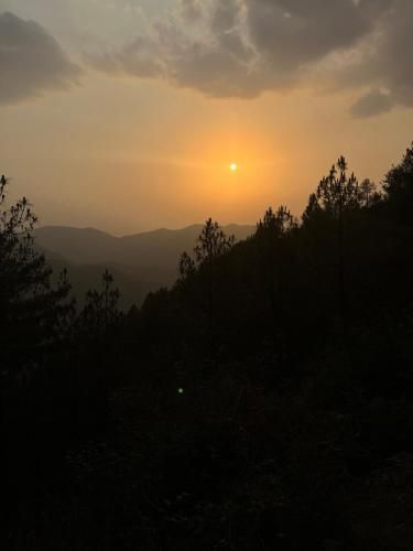 Outdoor Pictures 7