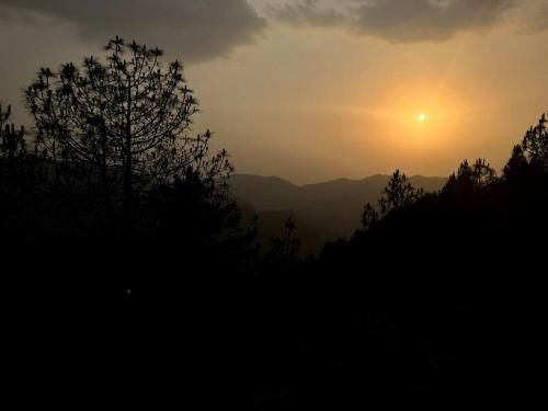 Outdoor Pictures 22