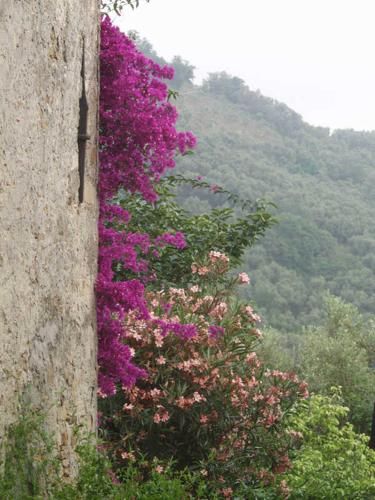 Outdoor Pictures 5