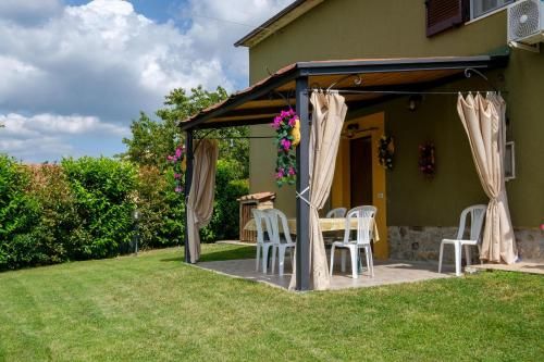 Outdoor Pictures 8