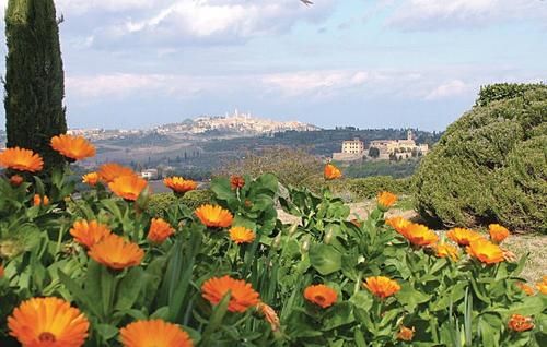 Outdoor Pictures 22