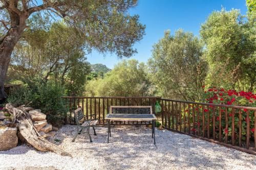 Outdoor Pictures 21