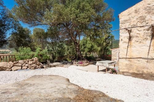 Outdoor Pictures 24
