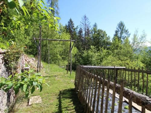 Outdoor Pictures 23