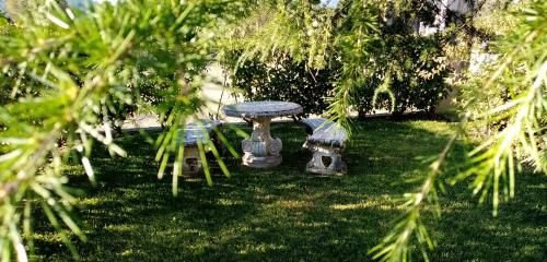 Outdoor Pictures 13