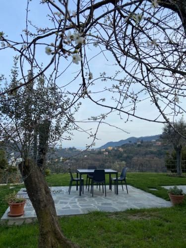 Outdoor Pictures 14