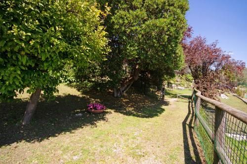 Outdoor Pictures 12