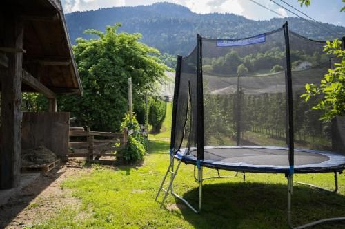 Outdoor Pictures 20