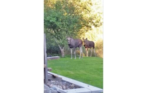 Outdoor Pictures 7
