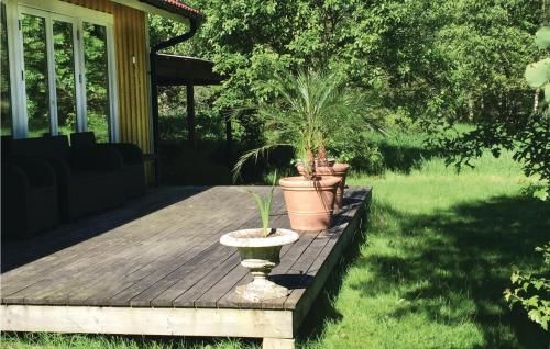 Outdoor Pictures 7